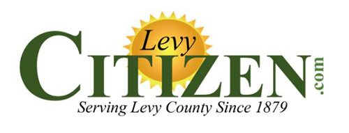 Levy Citizen